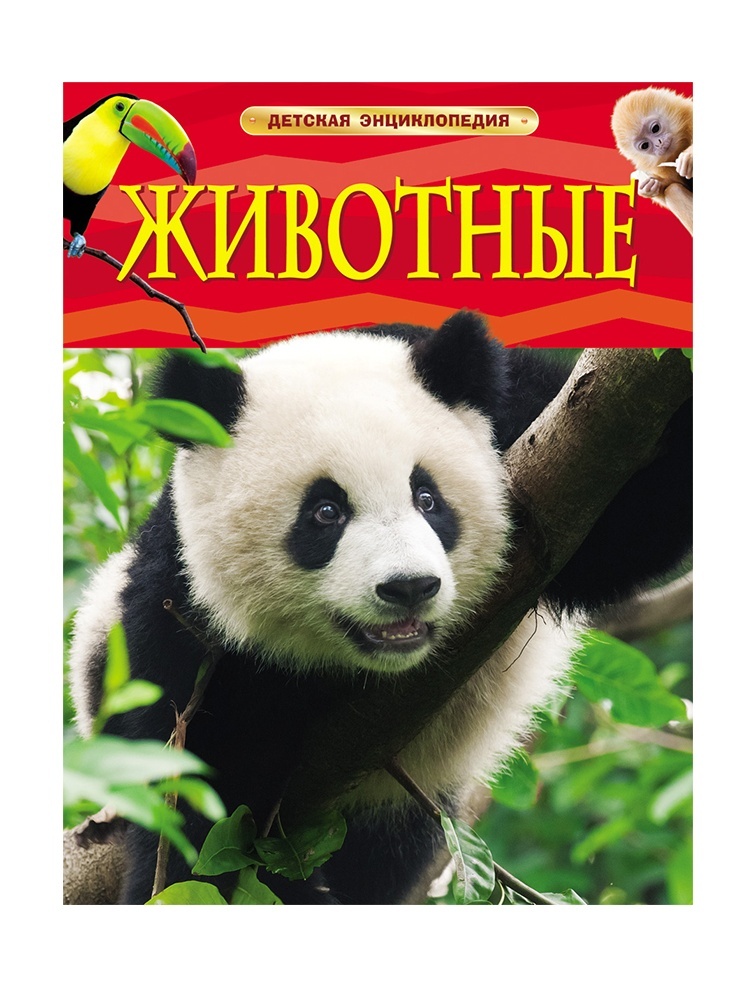 slider_image