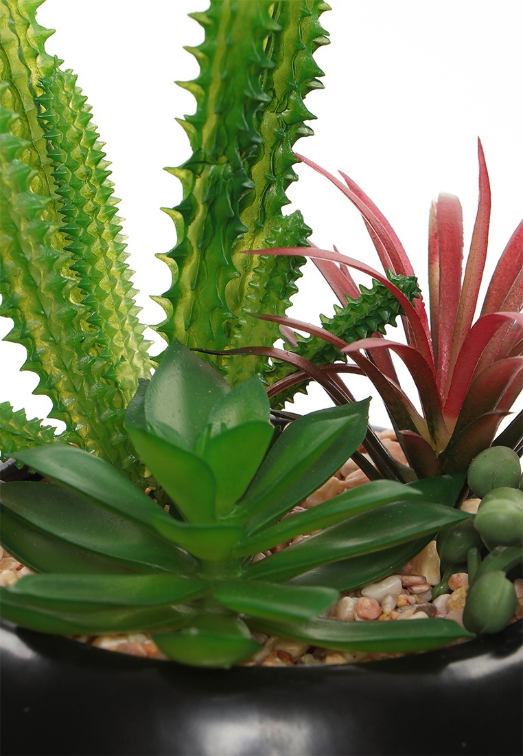 thumb_image