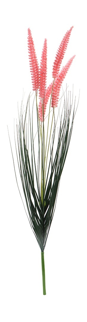 slider_image