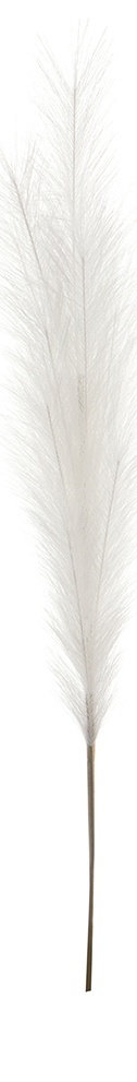 slider_image