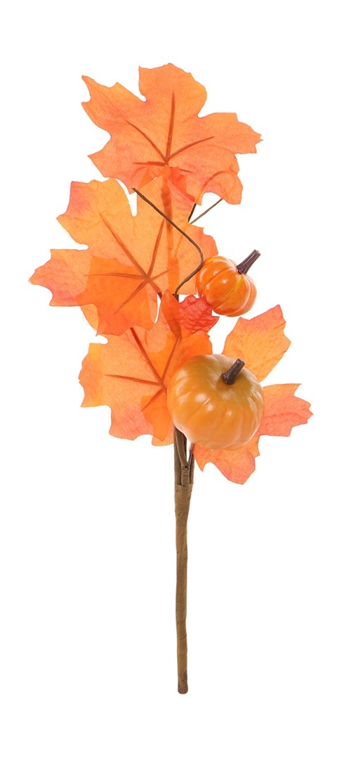 slider_image