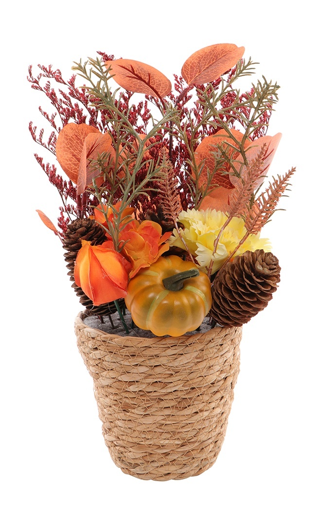 slider_image
