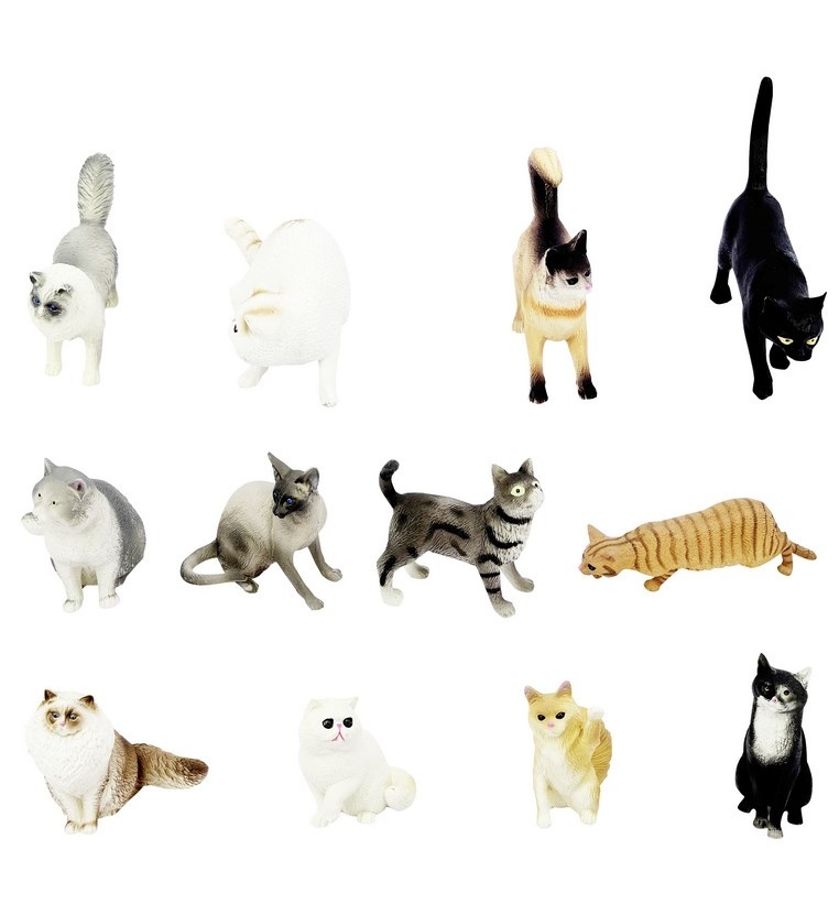 slider_image