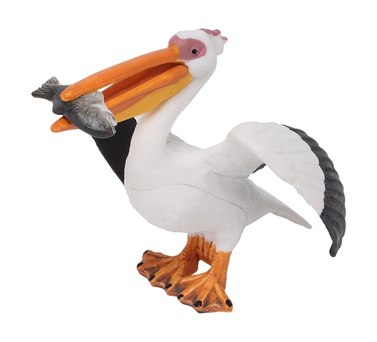 slider_image
