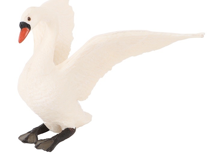slider_image
