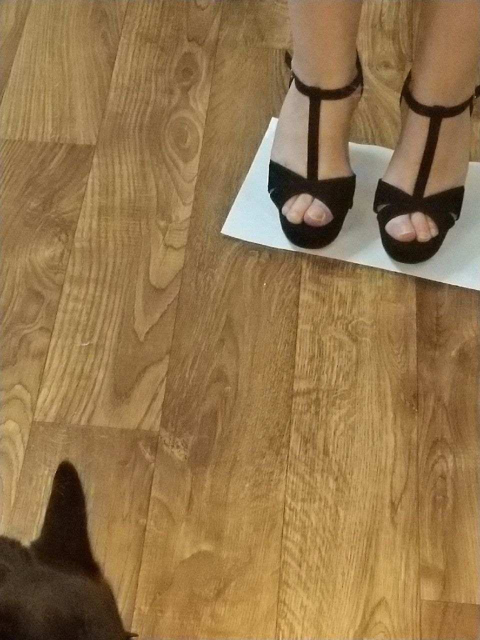 review