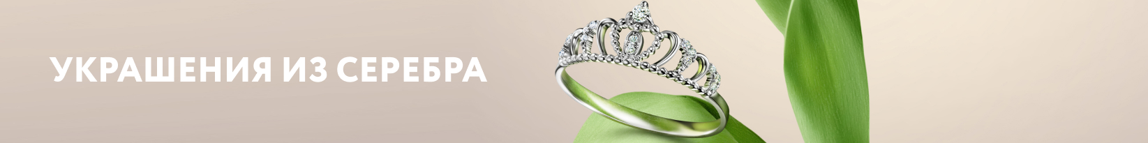 catalog_banner