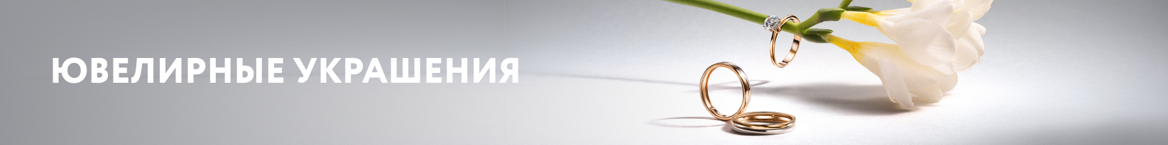 catalog_banner