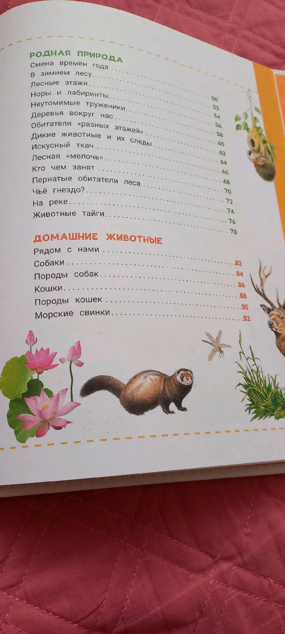 review