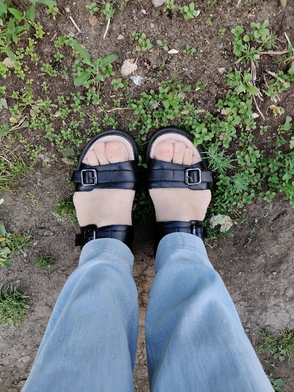 review