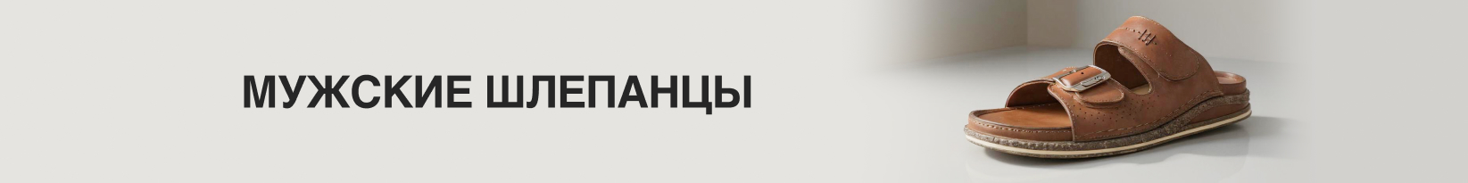 catalog_banner