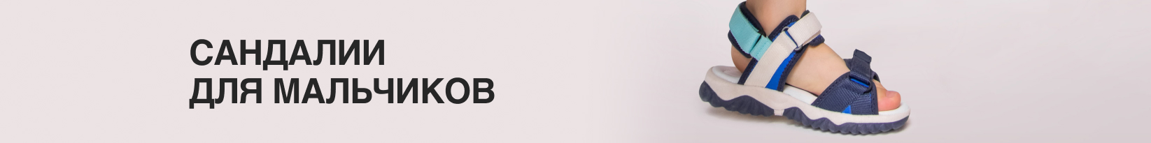 catalog_banner