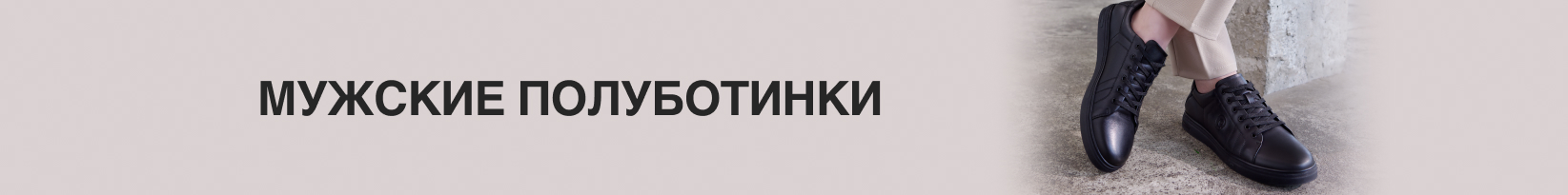 catalog_banner
