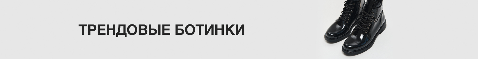 catalog_banner