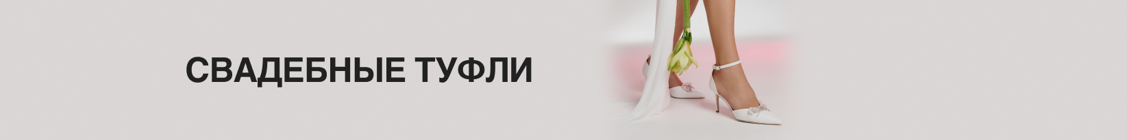 catalog_banner